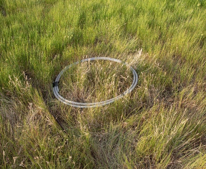 hoop for field based forage sampling