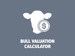 BCRC Bull Valuation Calculator