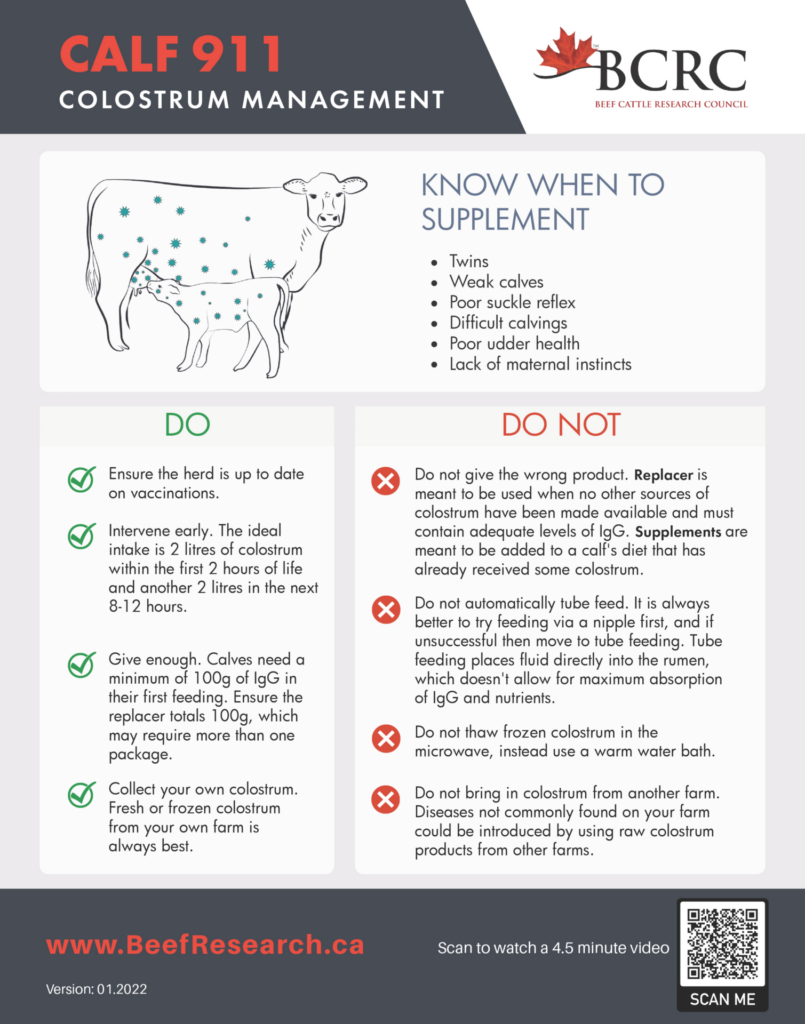 Calf 911 colostrum management checklist