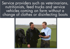 service providers such as veterinarians or nutritionists coming on farm without a change of clothes can be a biosecurity risk for a beef herd
