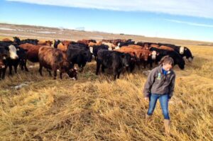 Dr. Emma McGeough with beef cattle in mentorship program