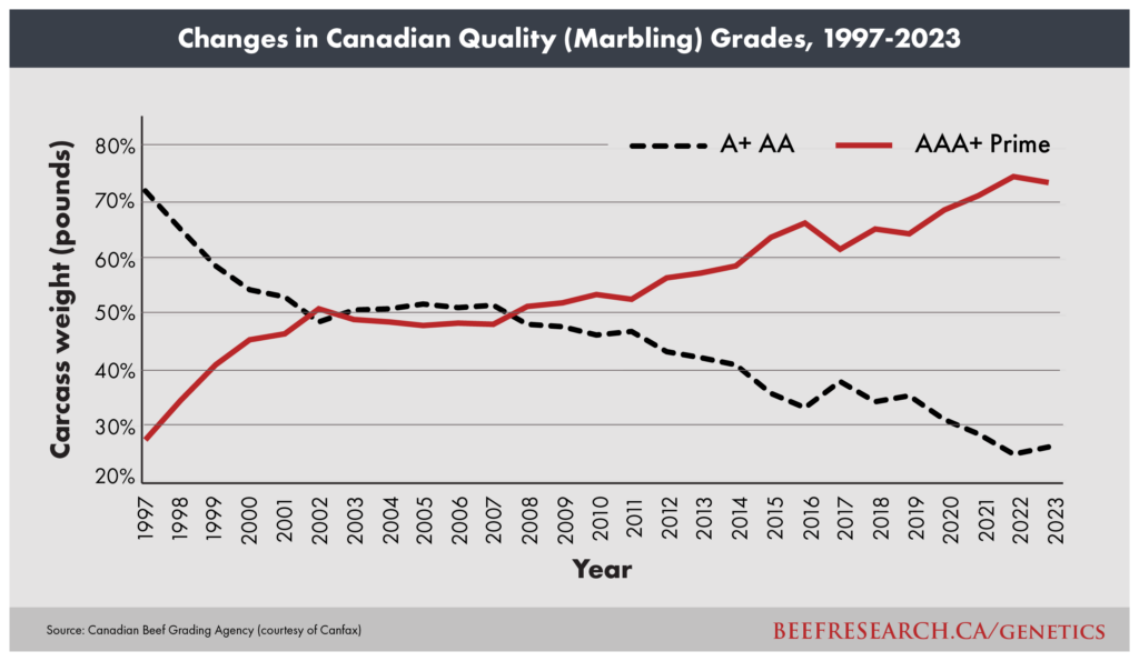 Changes in Canadian beef quality (marbling) grades