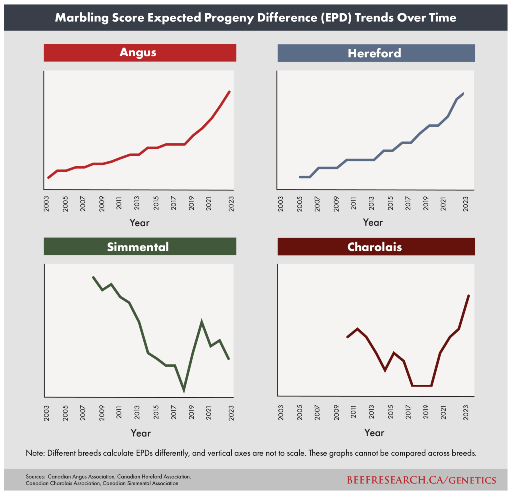 Beef marbling score expected progeny difference trends