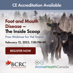 Foot and Mouth disease webinar for vet teams