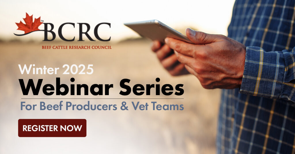 winter 2025 BCRC Webinar Series for beef producers and vet teams