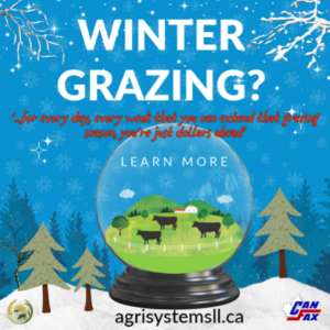 winter grazing? for every day you can extend grazing you're dollars ahead